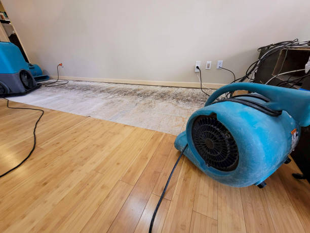 Professional Flood Damage Cleanup technician working in Apache Junction, AZ